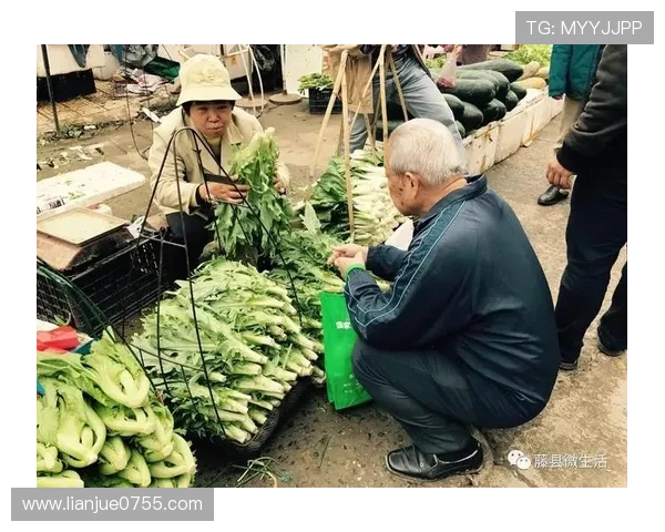 《归来的乡愁》:屏幕内外,重拾那份最真的烟火气